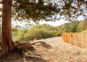 SABLIÈRE CHÂLONS SUR VESLES